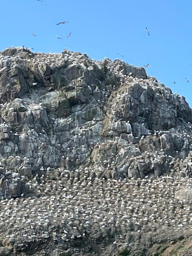 Gites Le Rucher De Kerillis Plouguiel ภายนอก รูปภาพ