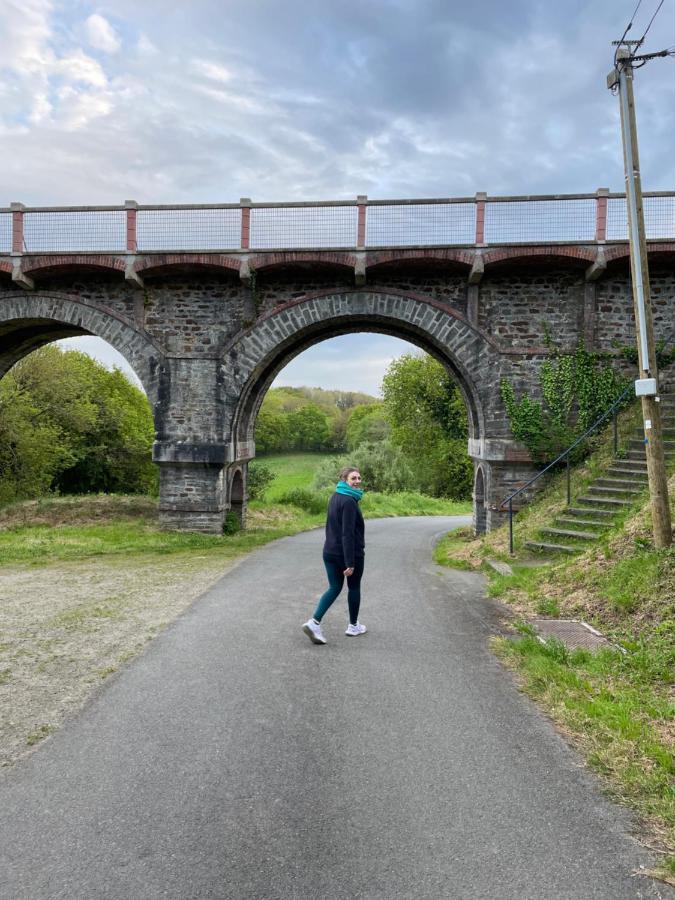 Gites Le Rucher De Kerillis Plouguiel ภายนอก รูปภาพ